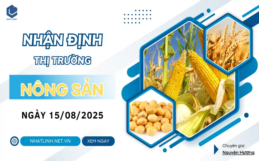 NHẬN ĐỊNH: NHÓM NÔNG SẢN NGÀY 15/08/2025